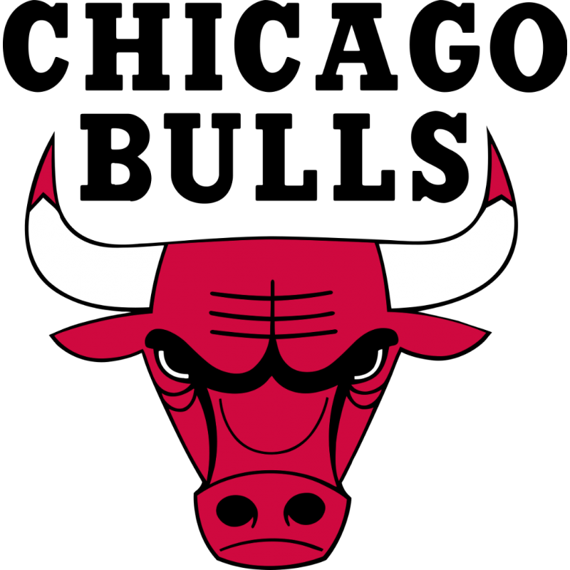 Μεταλλικό Ισοθερμικό Μπουκάλι 750ml NBA Chicago Bulls ????