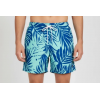 Ανδρικο μαγιό μπλε SWIM SHORTS 2648719