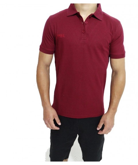 Ανδρική Polo Μπλούζα Victorious Red