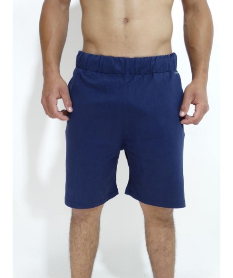 Ανδρικά Σορτς GSA Supercotton Jersey Shorts Ink 1718041-03