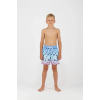 Joyce Παιδικό μαγιό για αγόρι swimwear 2646809